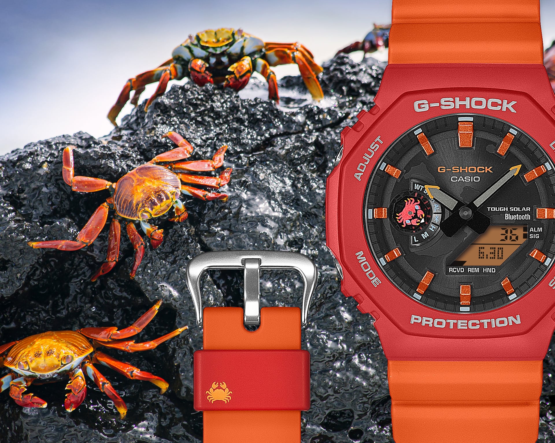 GA-B2100DF-4A Reloj G-Shock Charles Darwin de hombre correa de silicona doble hora - Image 7