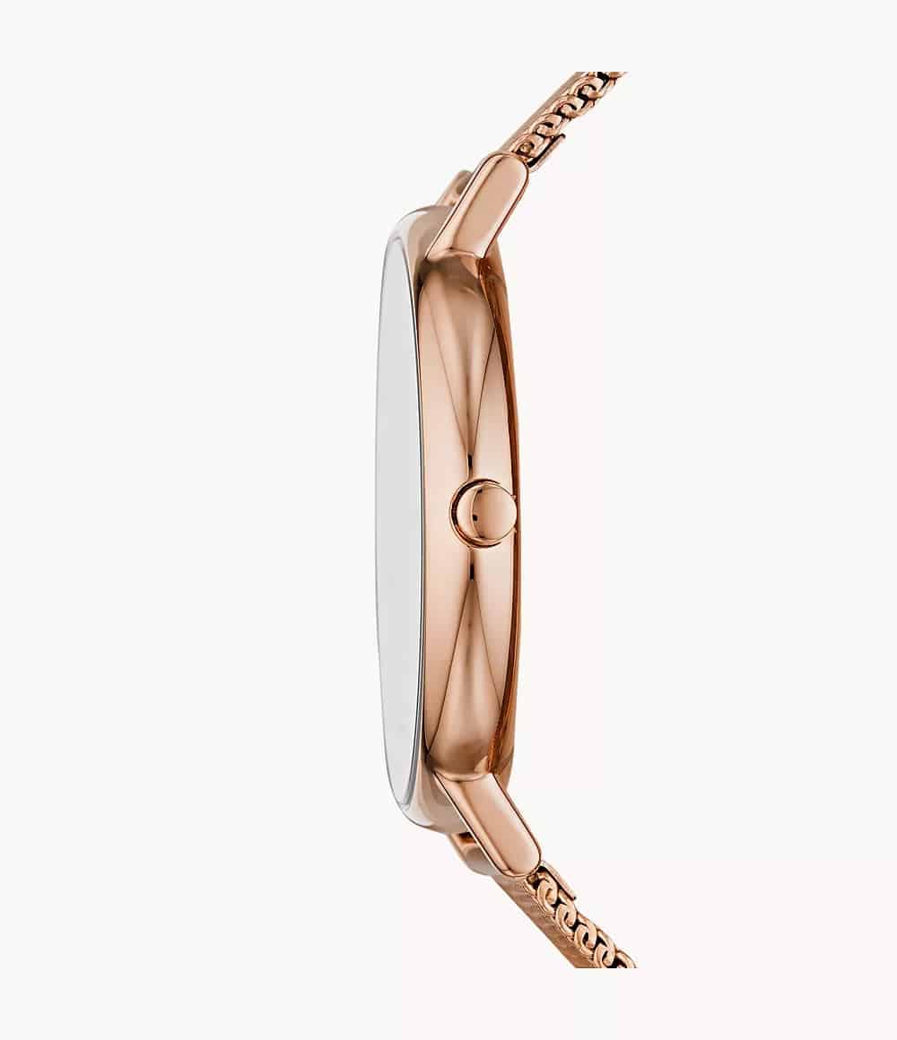 SKW2784 Reloj Skagen para señorita pulsera tipo mesh - Image 2
