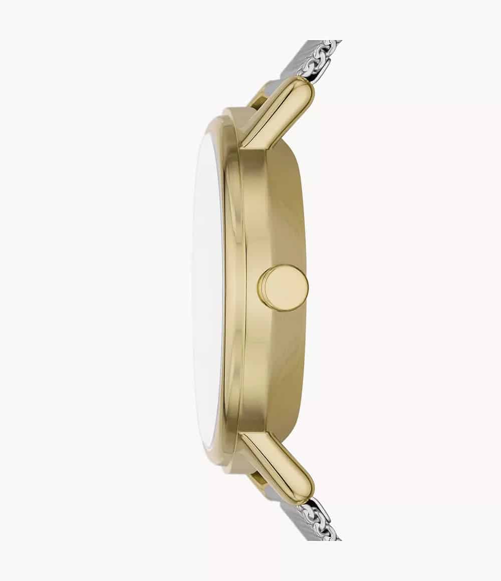 SKW3101 Reloj Skagen para dama pulsera mesh - Image 3