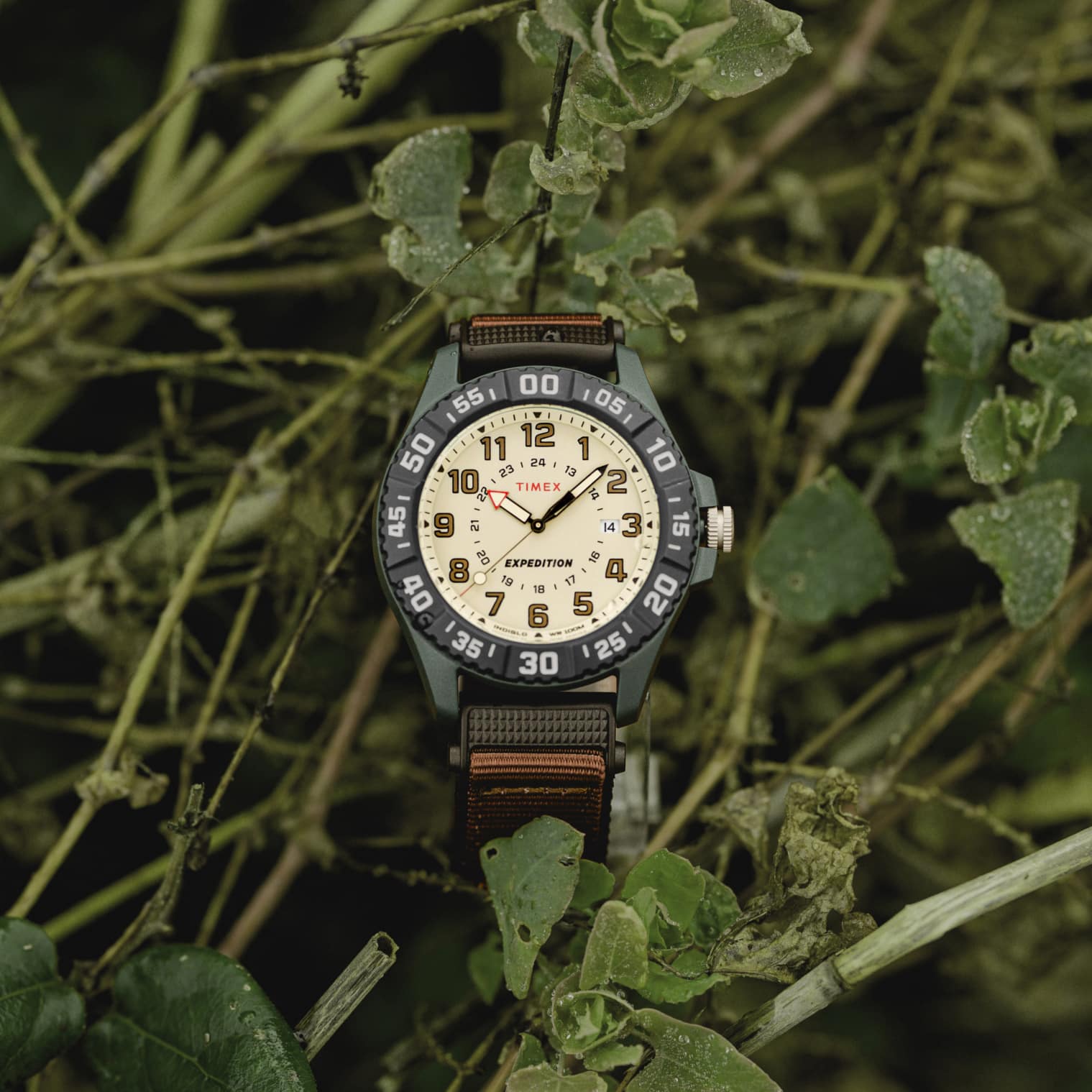 TW4B26500 Timex Expedition Acadia Rugged Reloj para Hombre 42mm - Image 2